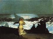 Winslow Homer A Summer Night china oil painting reproduction